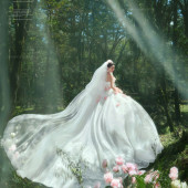 云杉坪-绿野仙踪