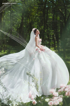 云杉坪-绿野仙踪