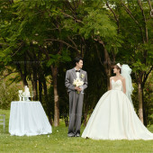 沈先生&林女士 林间清风