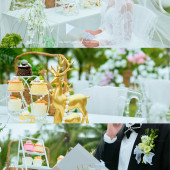 林间秘密-三亚目的地婚礼