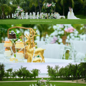 林间秘密-三亚目的地婚礼