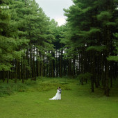 者摩山-绿野森林