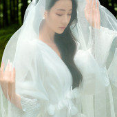 者摩山-绿野森林