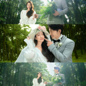 者摩山-绿野森林