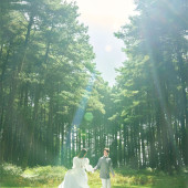 者摩山-绿野森林