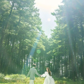 者摩山-绿野森林