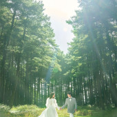 者摩山-绿野森林