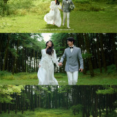 者摩山-绿野森林