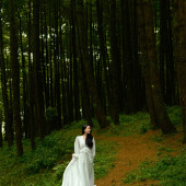 者摩山-绿野森林