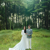 者摩山-绿野森林