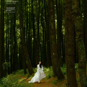 者摩山-绿野森林