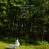 者摩山-绿野森林