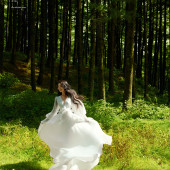 者摩山-绿野森林