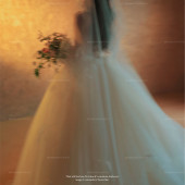 维纳斯-法式绮梦