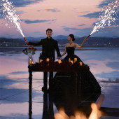 维纳斯-夜色迷人