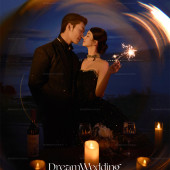 维纳斯-夜色迷人