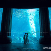 亚特兰蒂斯-水族馆