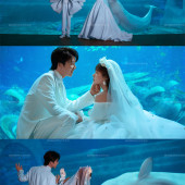 亚特兰蒂斯-水族馆