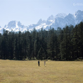 云杉坪-冬日露营