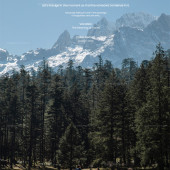 云杉坪-冬日露营