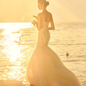 王先生&杨女士 洱海海鸥