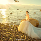 王先生&杨女士 洱海海鸥