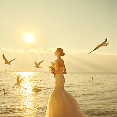 王先生&杨女士 洱海海鸥