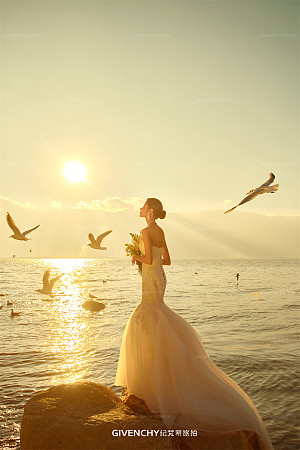 王先生&杨女士 洱海海鸥