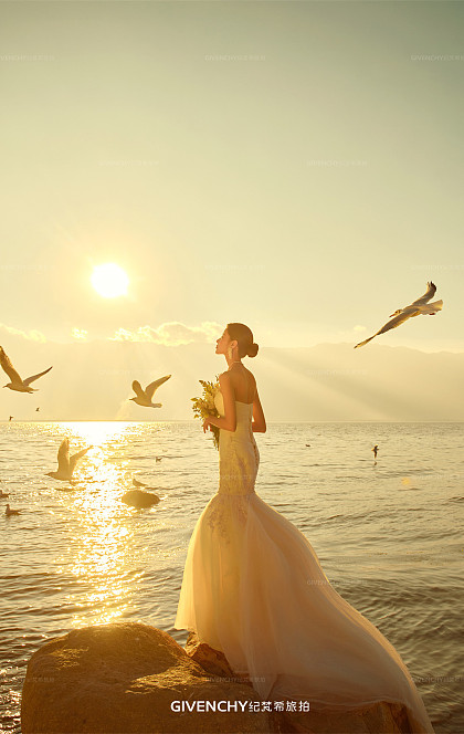 王先生&杨女士 洱海海鸥