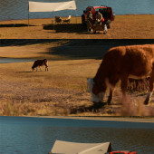 丽江-湖边露营
