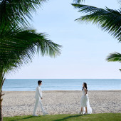 清水湾-椰林草坪