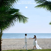 清水湾-椰林草坪