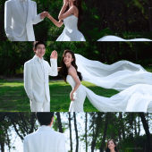 清水湾-椰林草坪