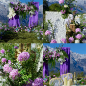 紫色梦境-丽江目的地婚礼