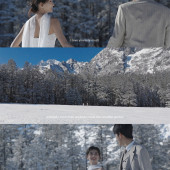 云杉坪-雪落云杉