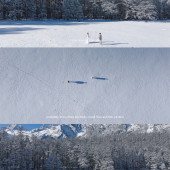 云杉坪-雪落云杉