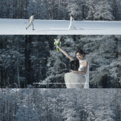 云杉坪-雪落云杉