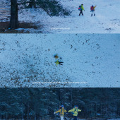 云杉坪-丛林徒步