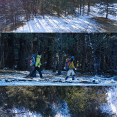 云杉坪-丛林徒步