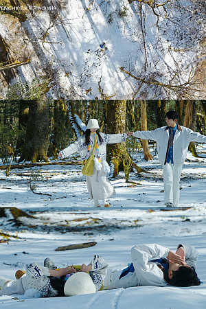 云杉坪-雪地童话