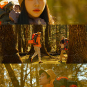 云杉坪-秋日森林