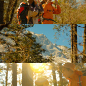 云杉坪-秋日森林