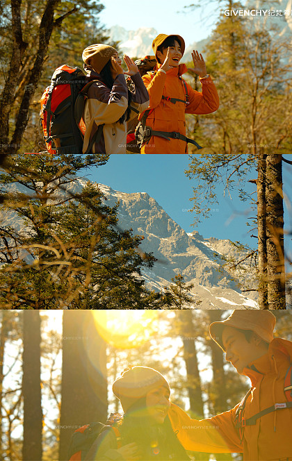 云杉坪-秋日森林