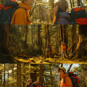 云杉坪-秋日森林