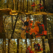 云杉坪-秋日森林