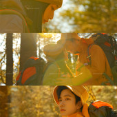 云杉坪-秋日森林