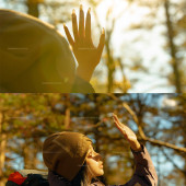 云杉坪-秋日森林