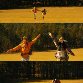 云杉坪-秋日森林