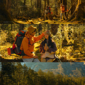 云杉坪-秋日森林