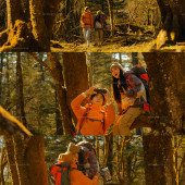 云杉坪-秋日森林